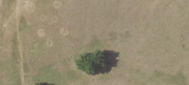 Farm Property with Country Cottage