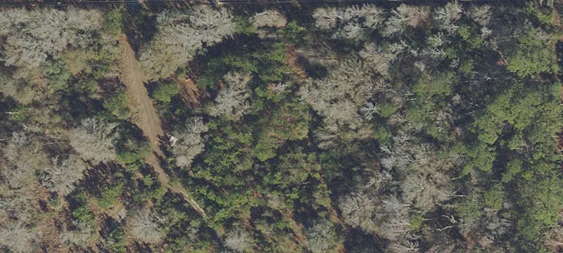 Commercial Land