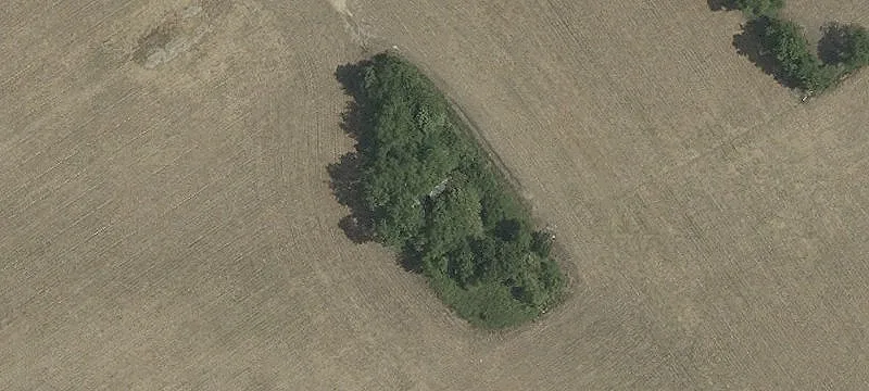 Unimproved Land