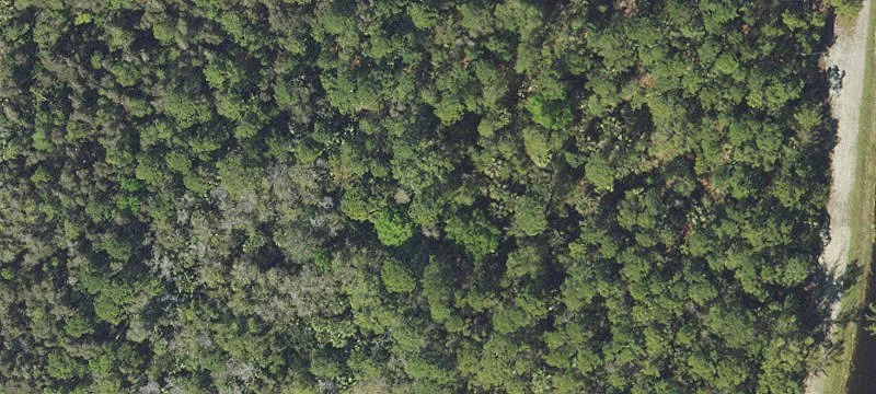 Land Parcel