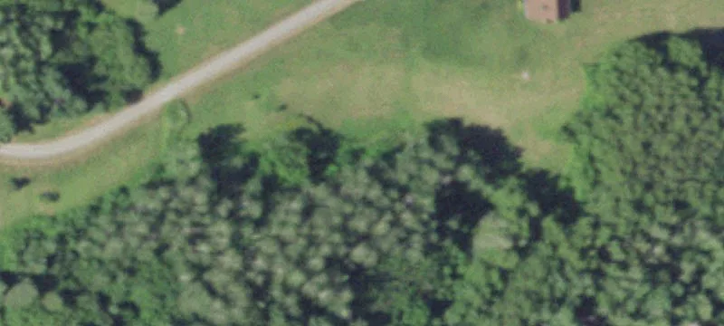 Hunting Land with Established Trails