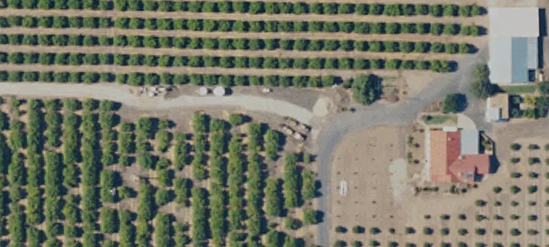Citrus Ranch with Homestead
