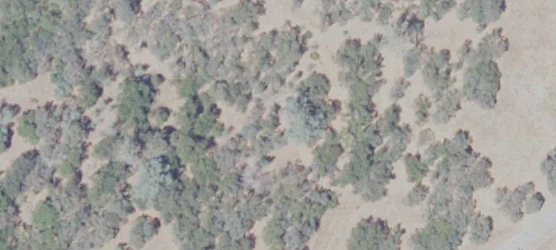 Unimproved Land