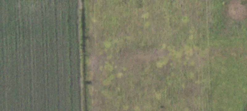 Improved Farm Property