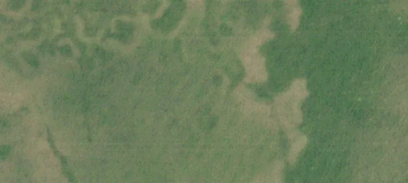 Fenced Agricultural Land
