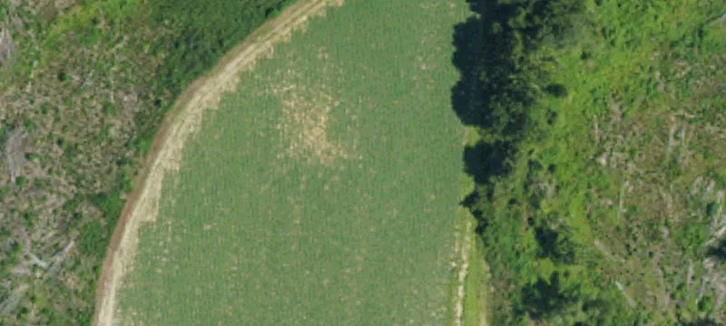 Land