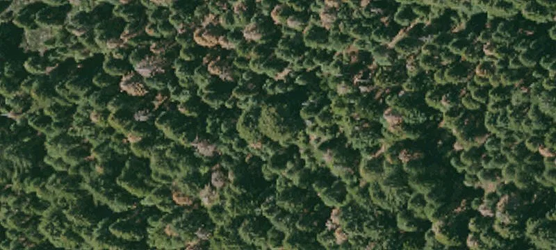 80-Acre Recreation Land with Creek
