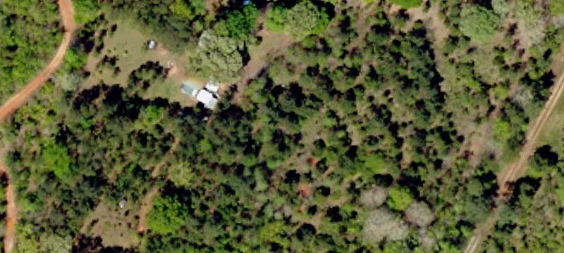 Saluda River Hunting Land