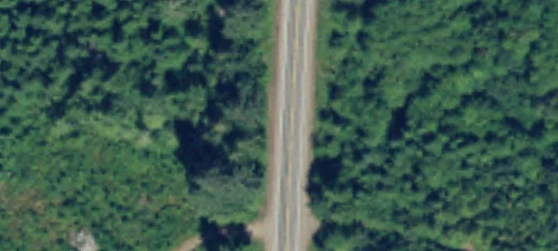 Level Partially Cleared Land