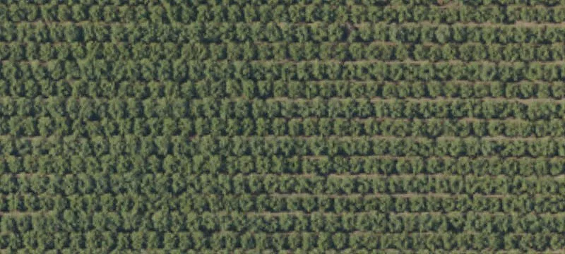 Waterfront Agricultural Land