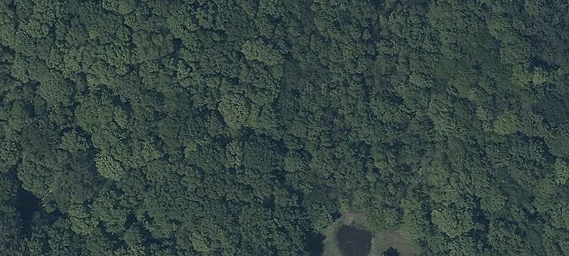 Vacant Land / Lots