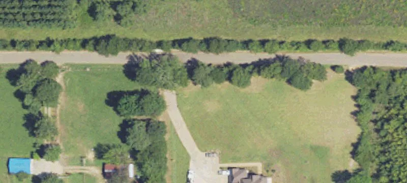 Wooded Hunting Land