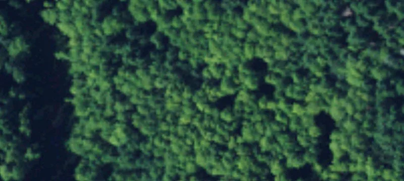 Rolling Agricultural Land