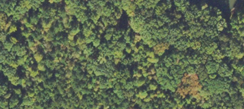 Unimproved Land