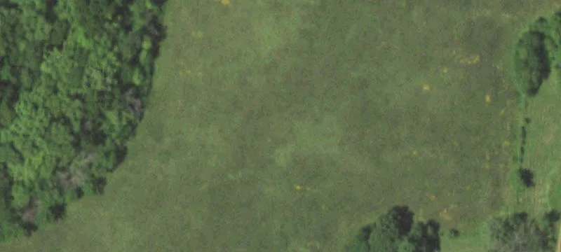 Farm