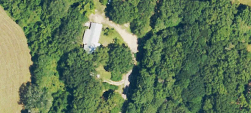 Pine Timber Hunting Land