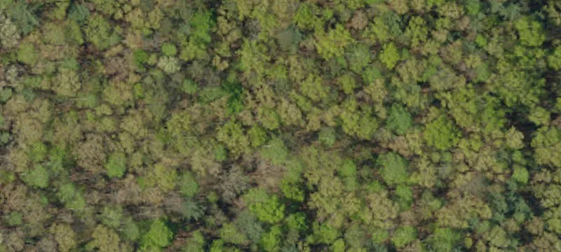 Unimproved Land