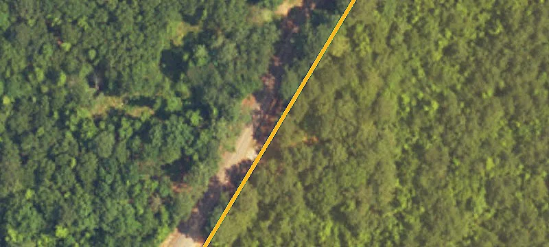 Hunting Land with Pole Barn