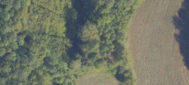 Hunting Land with Hardwood Forests
