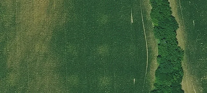 Fenced Agricultural Land