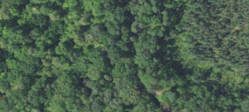 Waterfront Land with Pole Building