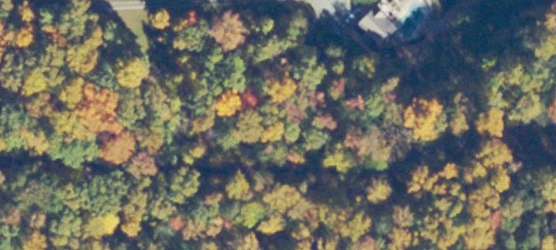 Wooded Commercial Land