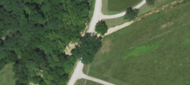 Timbered Hunting Land