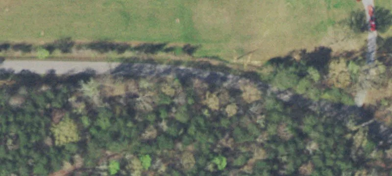 Wooded Land with Gravel Driveway