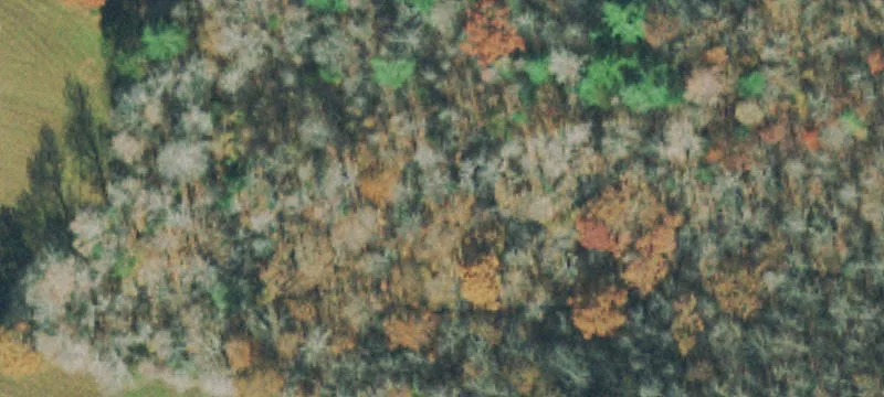 Conservation Land with Bluff Views