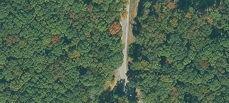 Wooded Acreage