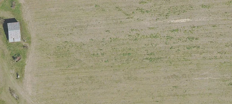 Farm Property with Irrigation Wells