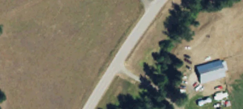 Timbered Land with Creek
