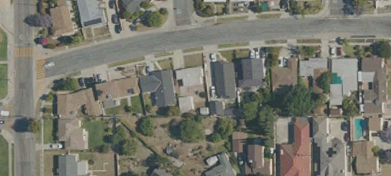 Duplex with Detached Homes