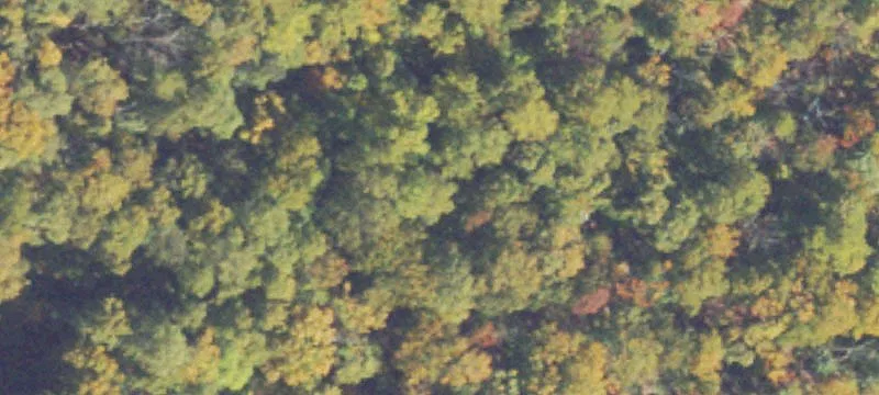 Unimproved Land