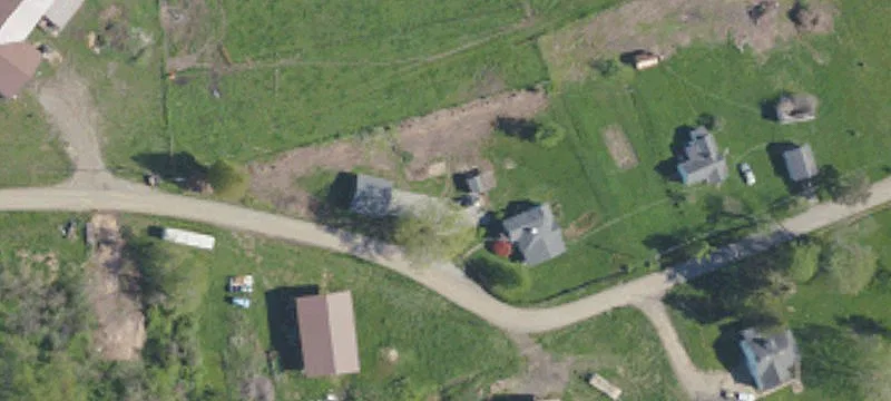 Working Cattle Farm