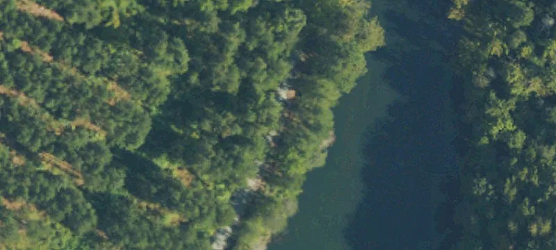 Managed Timberland with River Frontage