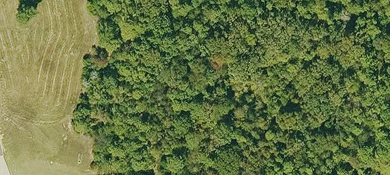 Mountain Land Parcel