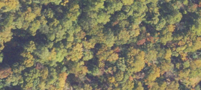 Unimproved Land