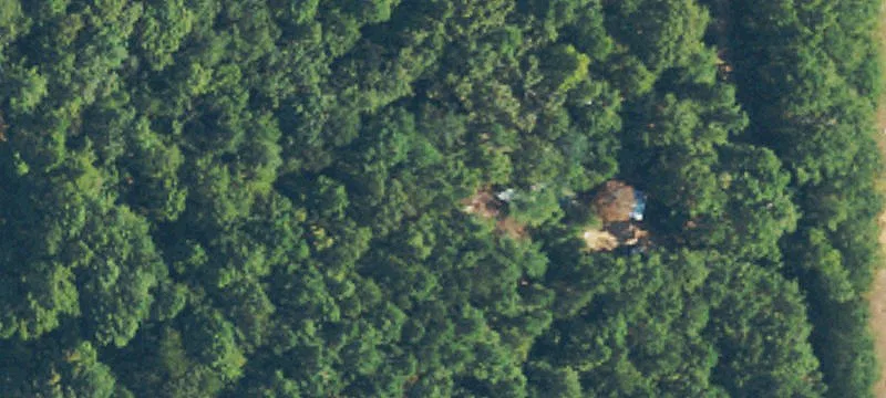 278 Poplar Springs Road, Mendenhall, MS 39114