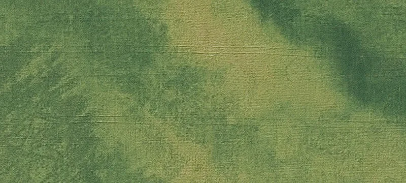 Fayette County Agricultural Land