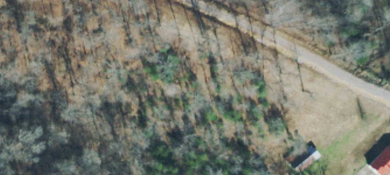 Cleared Land with Year-Round Creek