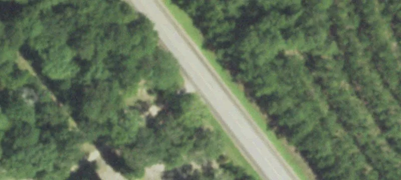 Wooded Land with Creek