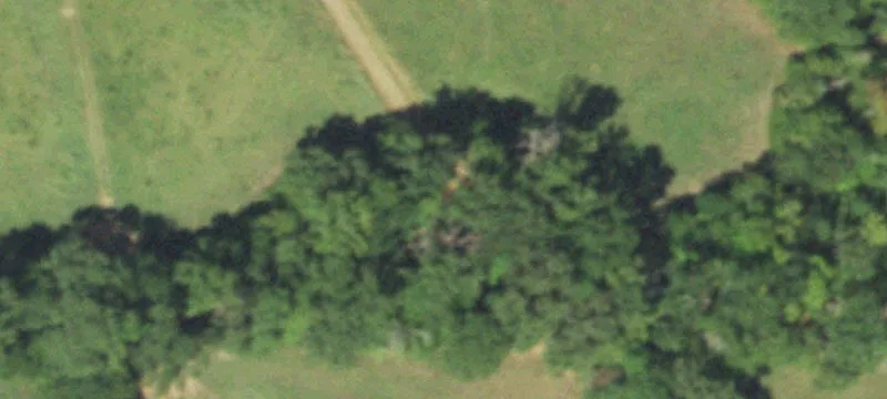 Wooded Agricultural Land