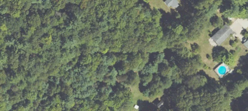 Multifamily Property with Two Homes