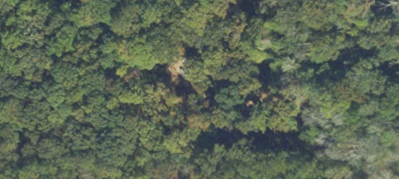 Wooded Land with Creek