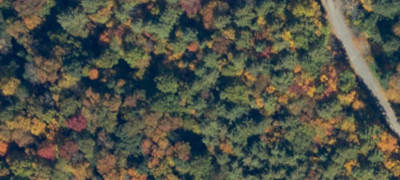 Hunting Land with State Game Lands Access