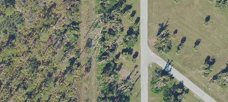 LAND