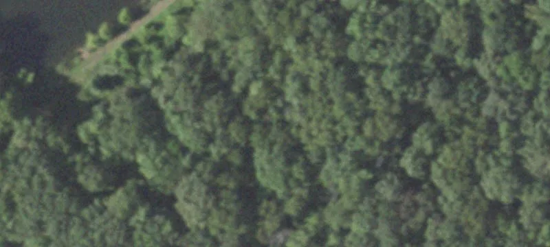 Recreation Land with Furnished Log Cabin