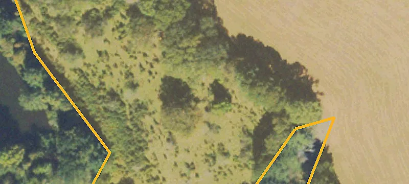 Farm with Two Residences