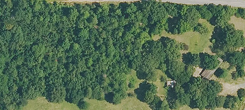 Agricultural Land with Standing Timber